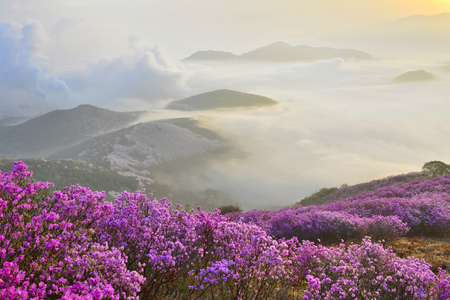 mountain jeonnam koreaの写真素材