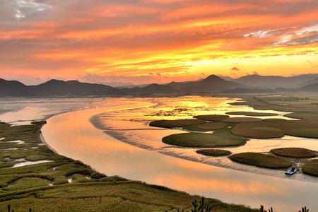 suncheon bay jeonnam koreaの写真素材