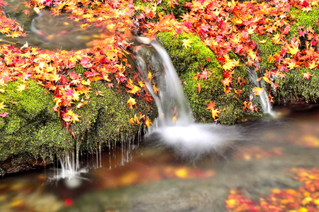 jeonnam koreaの写真素材