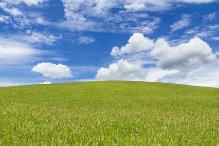 Green grass field against clear blue sky.の写真素材