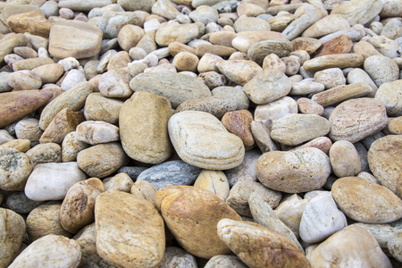Many stones on the beach.の写真素材