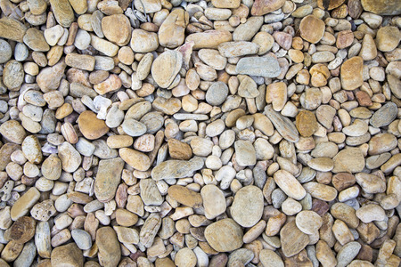 Many stones on the beach.の写真素材