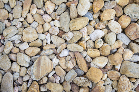 Many stones on the beach.の写真素材