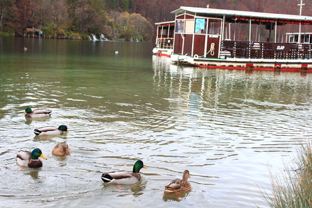plitvice lakes national parkの写真素材
