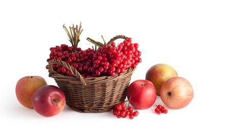 basket with a viburnum and apples on a white backgroundの写真素材