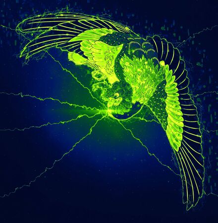 The fly of the cyber feeling is spreading.の写真素材