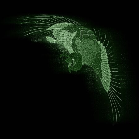 Green Hologram Peacockの写真素材