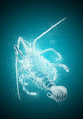 Ukiyoe Shrimp Part 4 Ice Versionの写真素材
