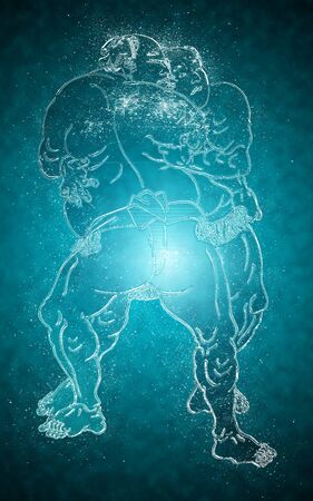 Frozen Sumo Wrestlerの写真素材