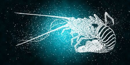 Ise shrimp with a frozen feelingの写真素材