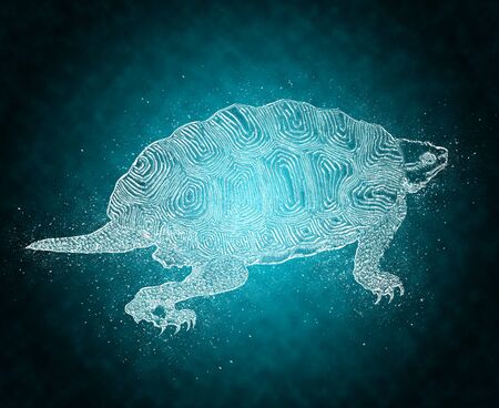 The turtle of the frozen feelingの写真素材