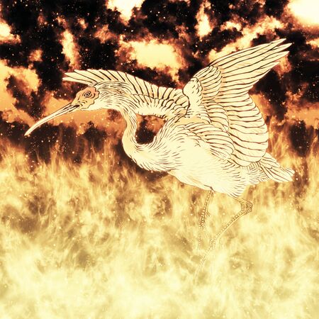 Birds in flamesの写真素材