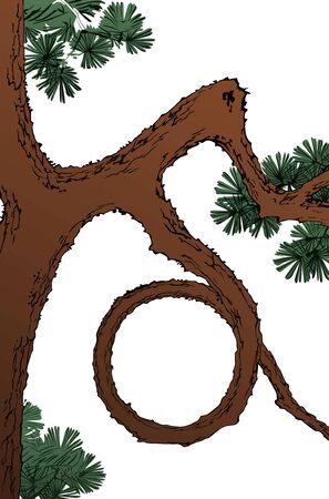 Pine treesのイラスト素材