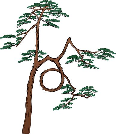 Pine treesのイラスト素材