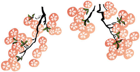 Cute Cherry Blossom Branchのイラスト素材