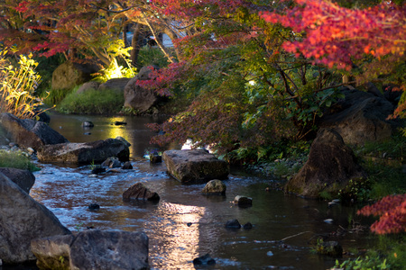 Japanese garden with a stream of water flowing throughの写真素材