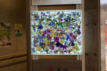 Mens restroom sign made from flowers at the Mishima Skygarden attractionのeditorial素材