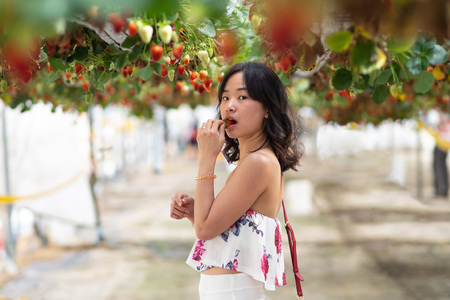 Young woman at a strawberry farmの写真素材