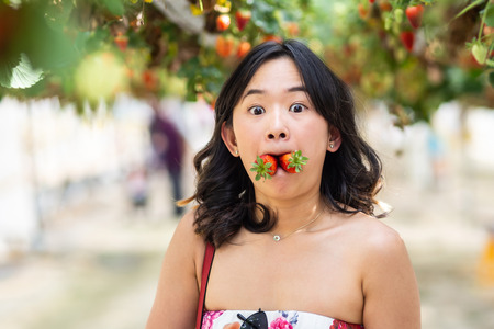 Young woman at a strawberry farmの写真素材