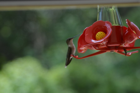 Posing for the cameraの写真素材