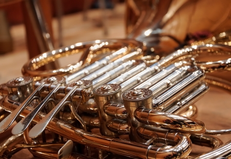 french hornの写真素材