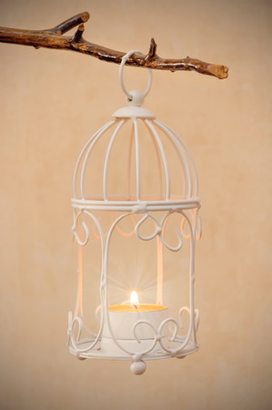 decorative bird cage hanging on branch with burning candle insideの写真素材