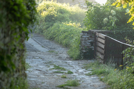 Misty paved road in abandoned village in Greece at dawnの写真素材