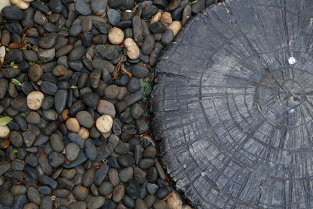 Wood and Stones backgroundの写真素材