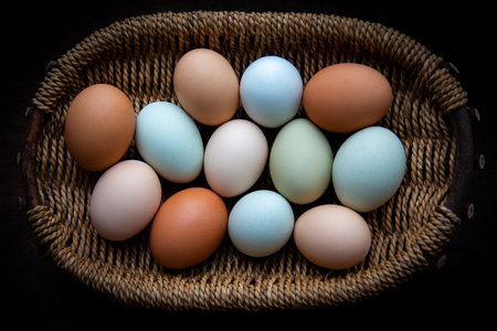 Colorful Eggs for diversity or multicultural themeの写真素材