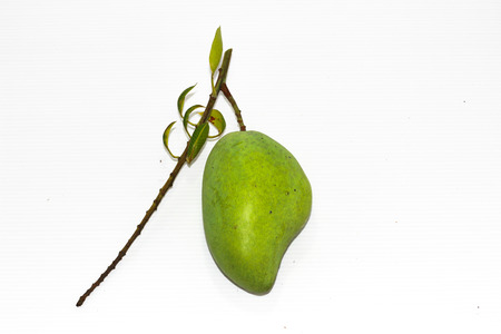 mango greenの写真素材