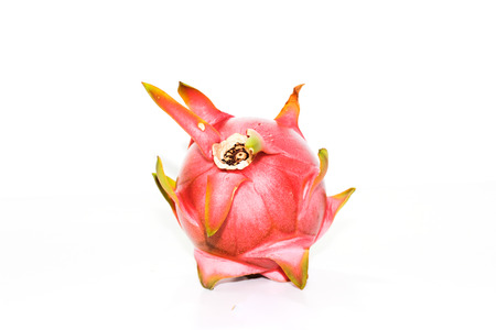 Drogon Fruitの写真素材