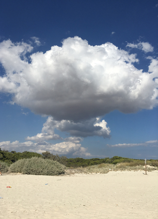 Fluffy white clouds lined up on beach duneの写真素材