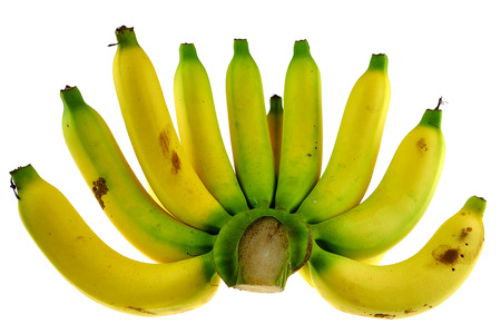 banana  green and yellow of Thailandの写真素材