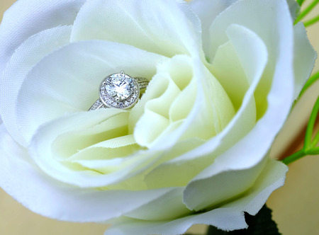 wedding ringsの写真素材