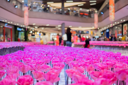 Soft focus abstract pink blossom flowers for background.(Selective focus)の写真素材