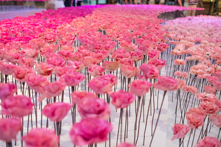 Soft focus abstract pink blossom flowers for background.(Selective focus)の写真素材