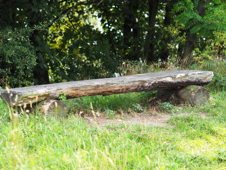 Bench in the nature