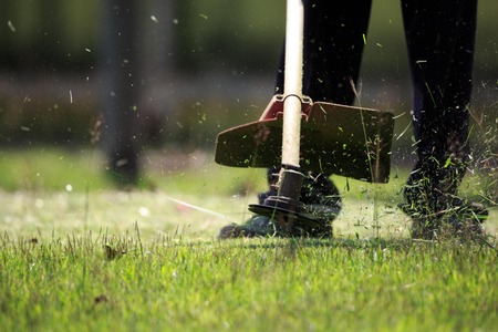 The gardener cutting grass by lawn mowerの写真素材