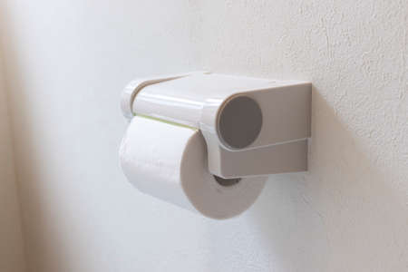 Toilet paper and holder