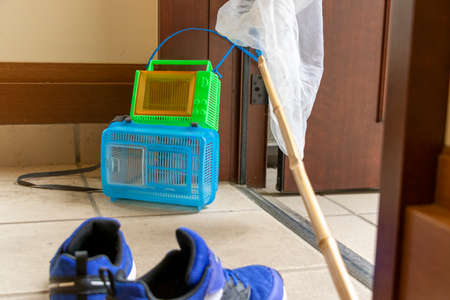 Children's shoes and insect-removing tools placed at the entranceの写真素材