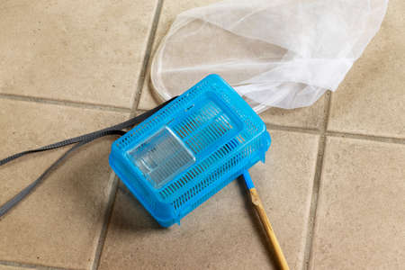 Insect baskets and insect nets