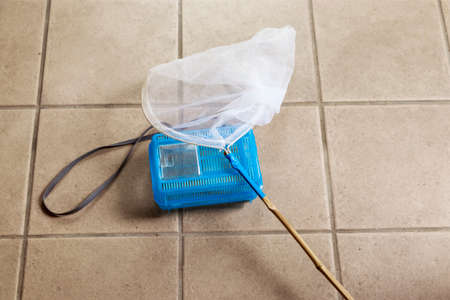 Insect baskets and insect nets