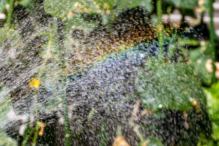 Splashes and rainbowの写真素材