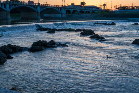 A waterfowl swimming in the river before dawn
