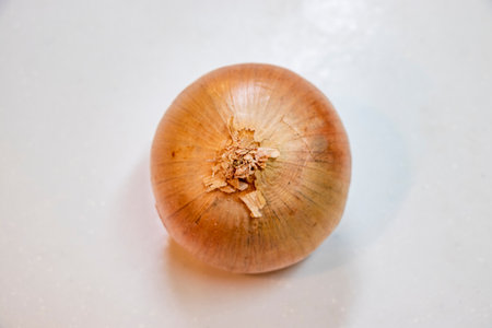Onion with skin on the kitchen counterの写真素材