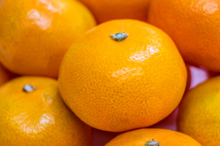 Lots of fresh mandarin orangesの写真素材
