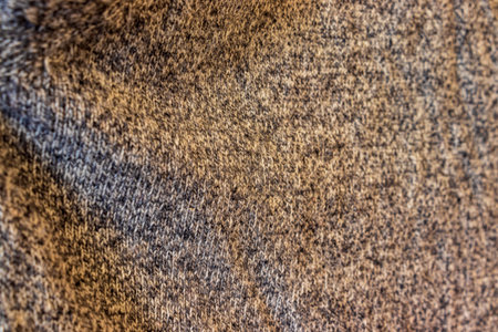 Soft texture of knit clothの写真素材