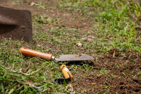 Remove weeds that grow on the ground