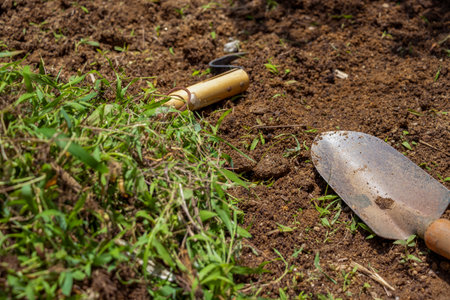 Remove weeds that grow on the ground
