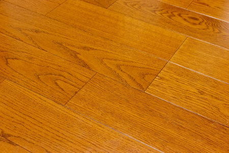 Wood flooring in the roomの写真素材